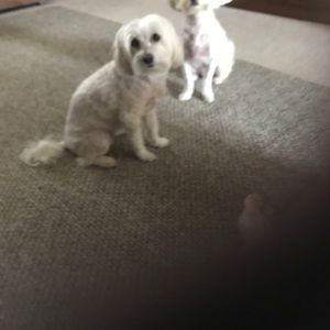 Meet your Posher, Melodye